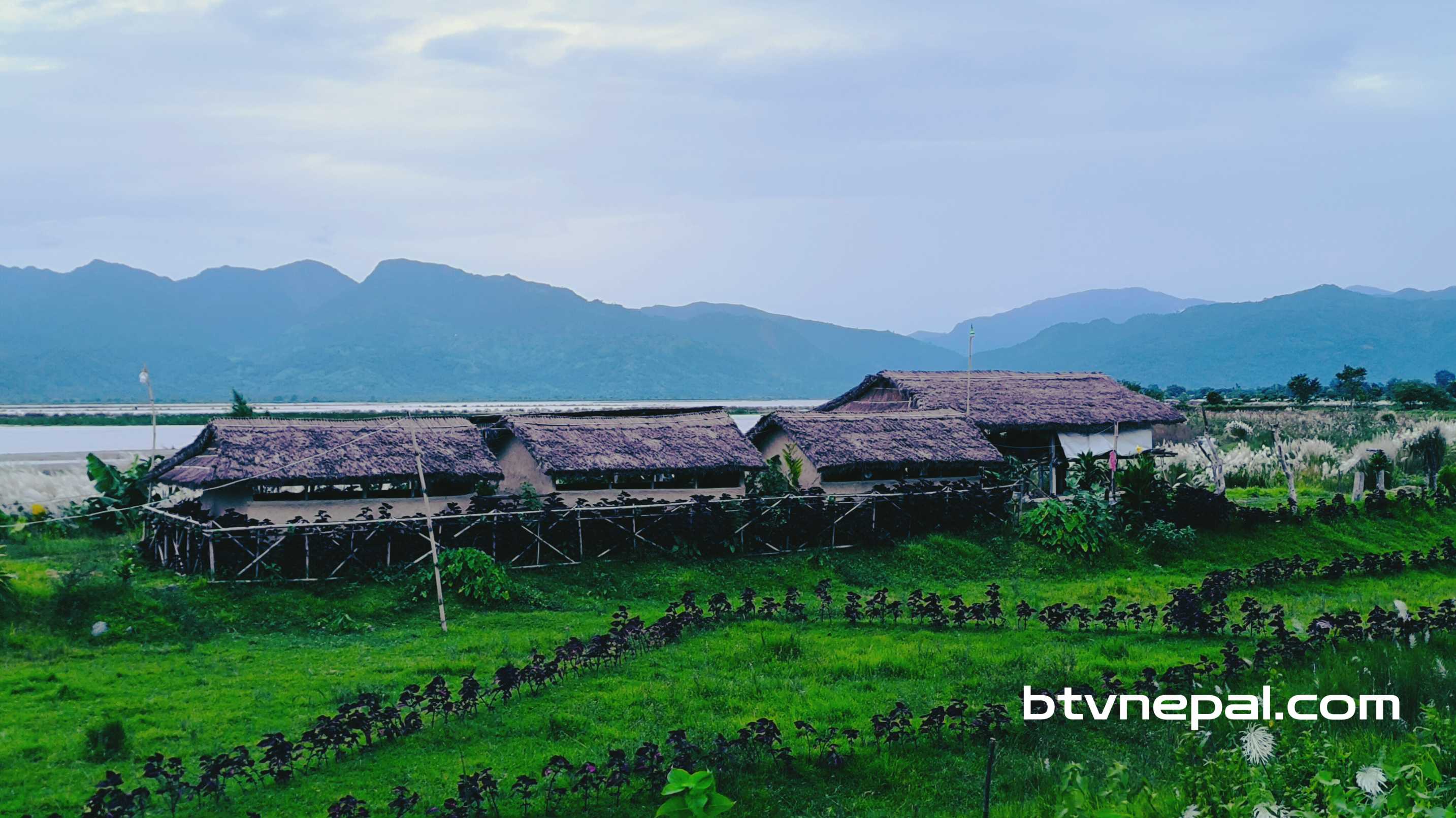 ३ लाख १६ हजार ७ सय ९५ क्युसेक पुगेर थामियो सप्तकोशीको वहाव, घट्दो क्रममा