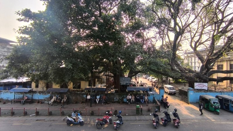 छाताचोकमै धरान नगर अस्पताल निर्माण गर्ने बाटो खुल्यो, मन्त्रीपरिषदको निर्णय