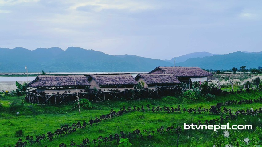 ३ लाख १६ हजार ७ सय ९५ क्युसेक पुगेर थामियो सप्तकोशीको वहाव, घट्दो क्रममा