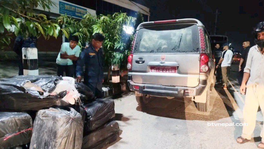 दुर्घटनाग्रस्त स्कार्पियोबाट ३९८ किलो गाँजा बरामद